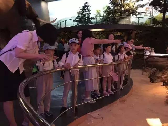 回忆一年级的时候我加入了少先队,光荣地加入了少先队