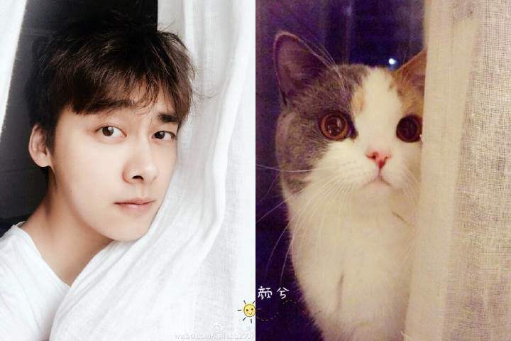 鹿晗李易峰杨洋,鹿晗李易峰照片结合