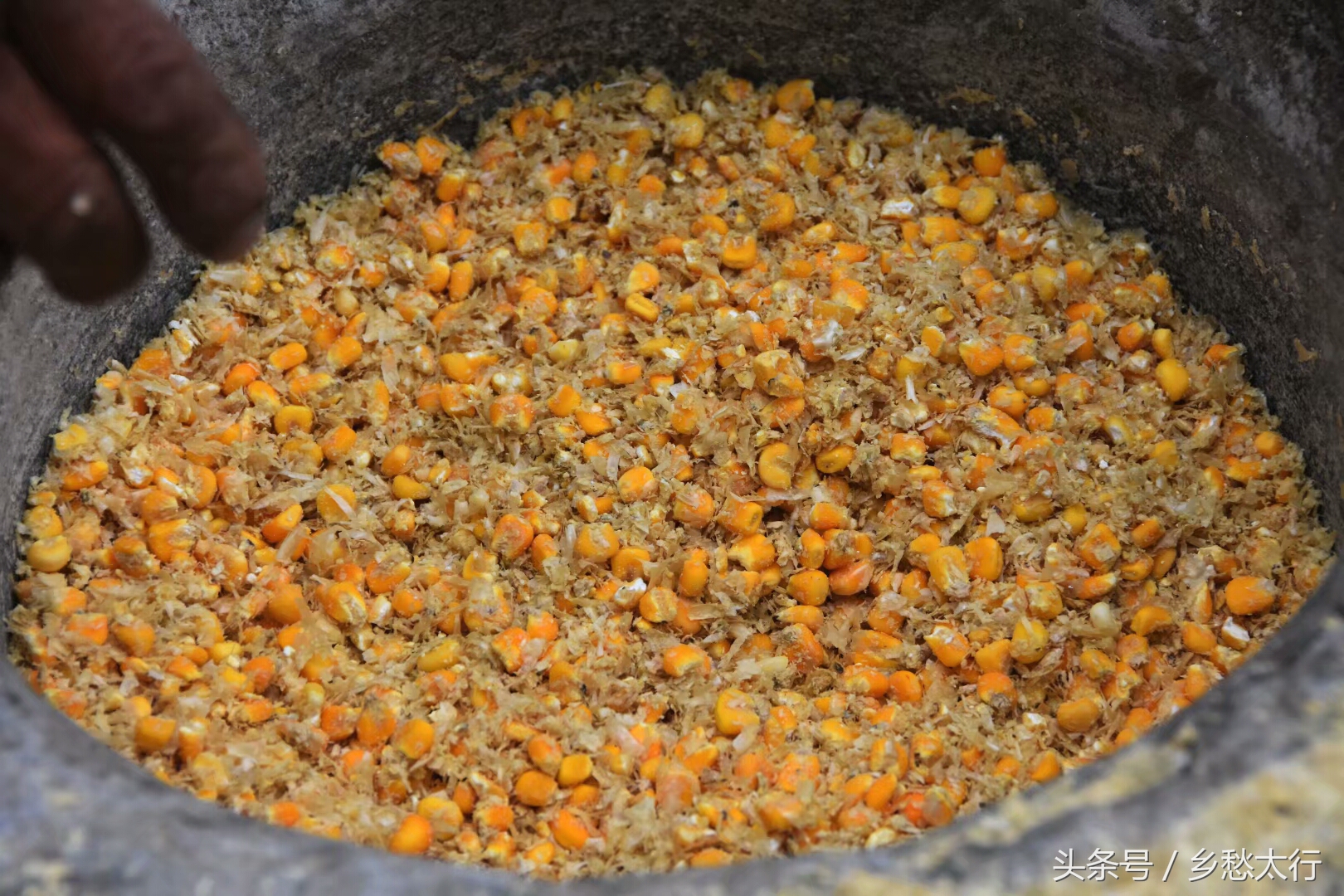 记在心底的玉黍米面条汤