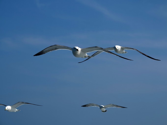 烟台蓬莱长岛两日游景色美极了,烟台长岛三日游攻略