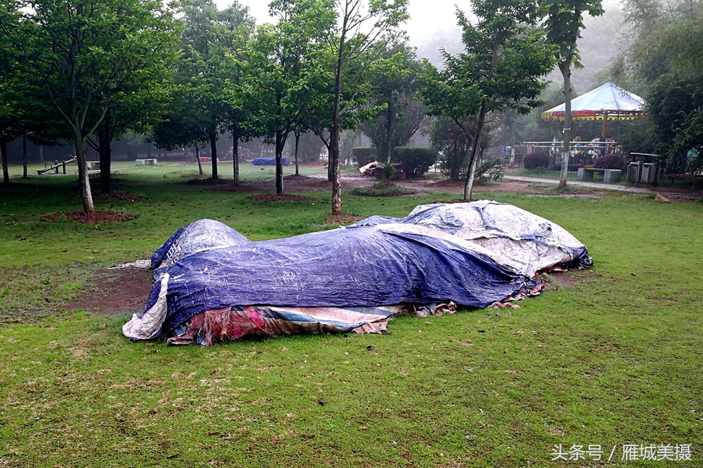 衡阳市平湖公园,衡阳平湖公园