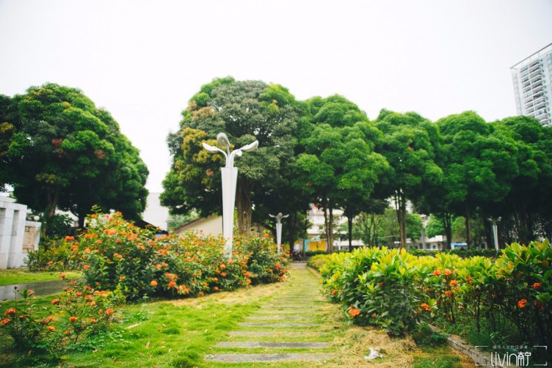 南宁市少年宫视频,南宁少年宫美好回忆