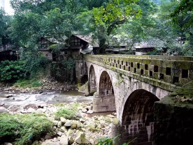 插秧端午节,包粽子赛龙舟端午节