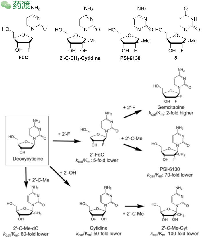 丙肝新药索非布韦为什么这么贵,丙肝新药索非一疗程需要多少钱