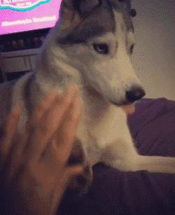 足坛那些燃爆全场的凌空抽射,足坛上不可思议的凌空抽射