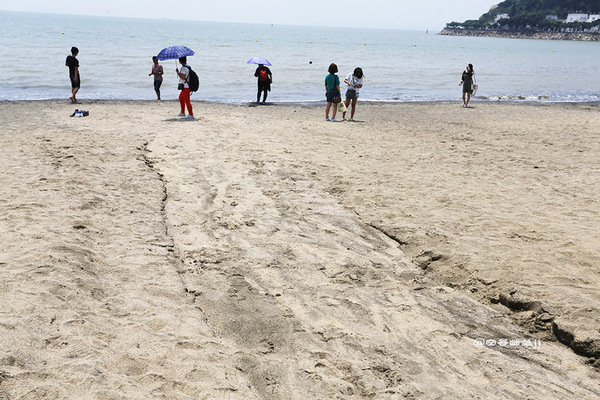 澳门值得逛的小巷子,澳门人迹罕至的地方