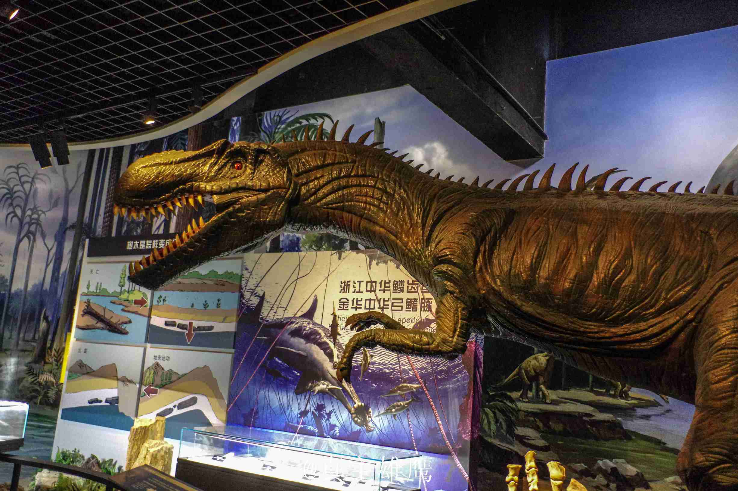 在金华生活怎么样,每天了解一个繁华城市浙江金华