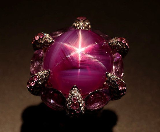 你与星光红宝石有场约会