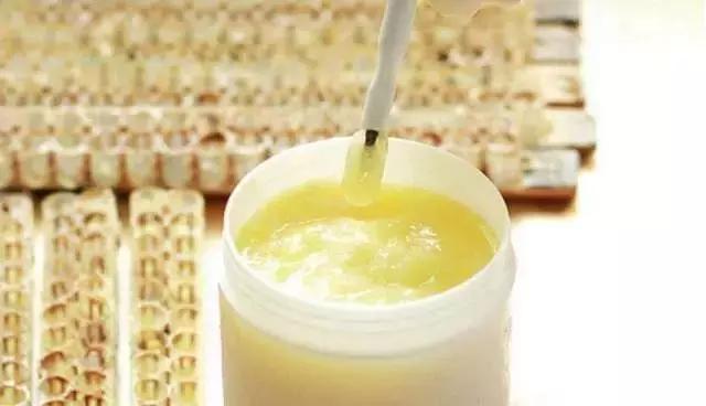 养生滋补之蜂产品 (日本养生滋补之蜂产品)