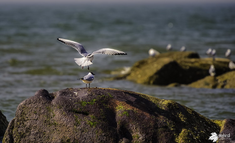 秦皇岛日落最佳拍摄,最美日出日落摄影
