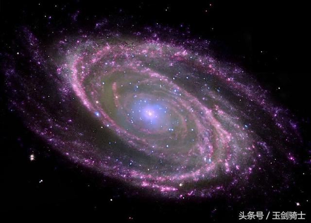 世界上最无畏惧的动物人称平头哥,世界十大凶猛动物平头哥