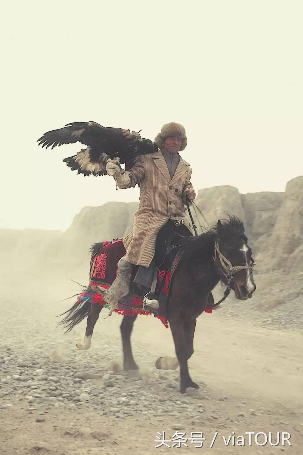 途迹|克尔克孜猎鹰的故乡