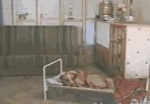 这样拍照真够拼的