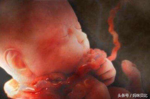 孕早期如何根据b超单看天数,孕检报告显示几胎