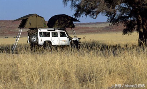 陈柏霖斑马外套同款,陈柏霖同款鞋子