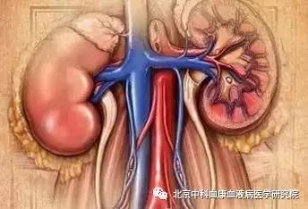 过敏性紫癜案例分享,过敏性紫癜的基本常识