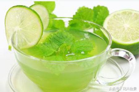薄荷除了驱蚊还能做啥,有关薄荷的所有夏日饮品