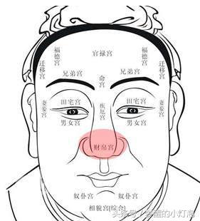 面相中的财是什么意思,面相金仓在什么位置