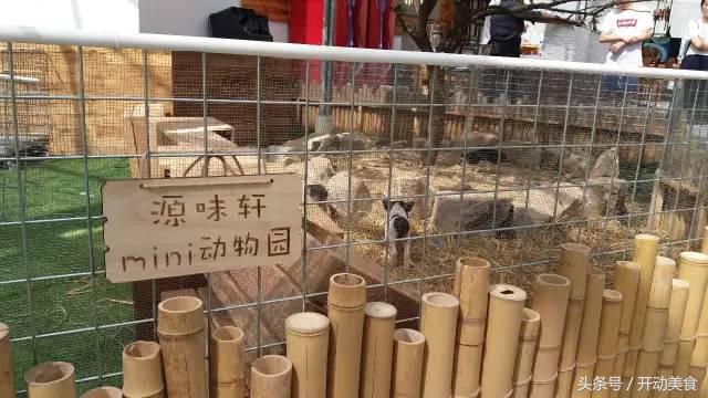 上海迪士尼小镇好吃的好玩的,上海迪士尼度假区周边美食