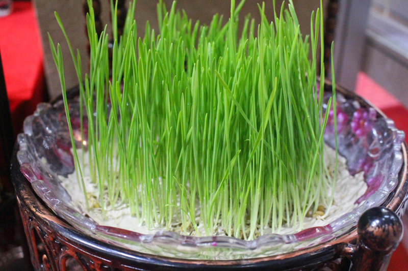 家装节深圳会展中心40届,5.1家装节深圳会展中心