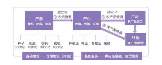吴世光,苗木电商平台的优势和劣势