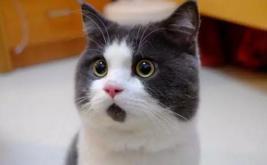 阿姨月入三万被质疑,月入三千中产群体