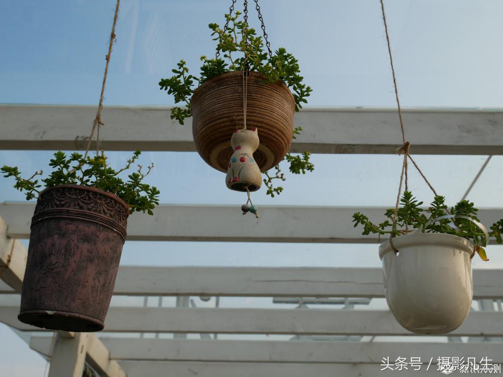 松下gf9值得入手吗,评价松下gf9拍摄视频4k效果