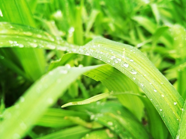 假期出游必备手机,端午手机游