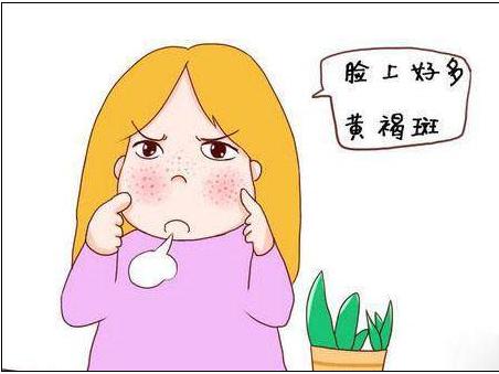 祛斑吃哪些中药内调最有效,内调祛斑最好的中药