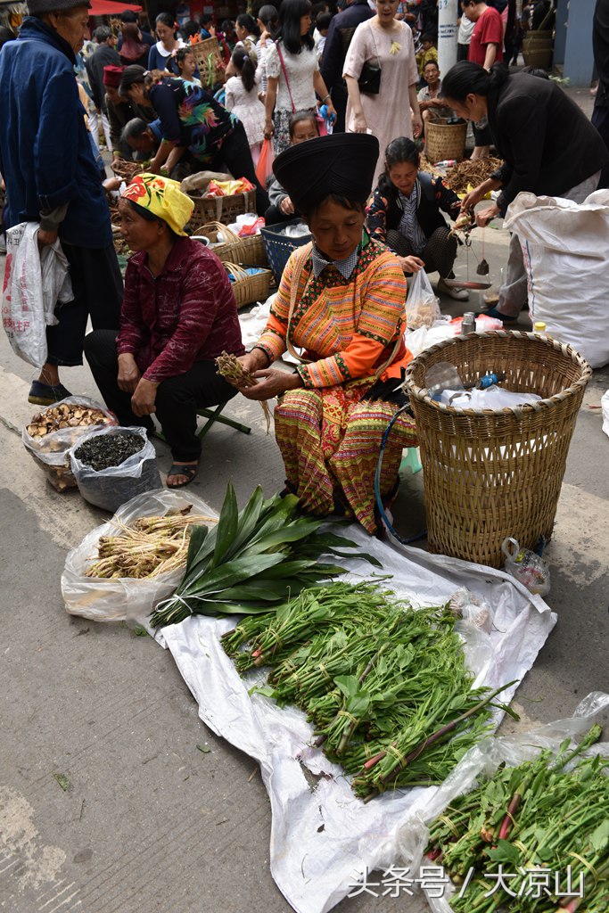 神奇的“黑根”,德昌端午节寻常百姓家药膳必备