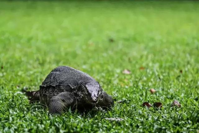 泰国曼谷交通必备手册 (曼谷公共交通全攻略)