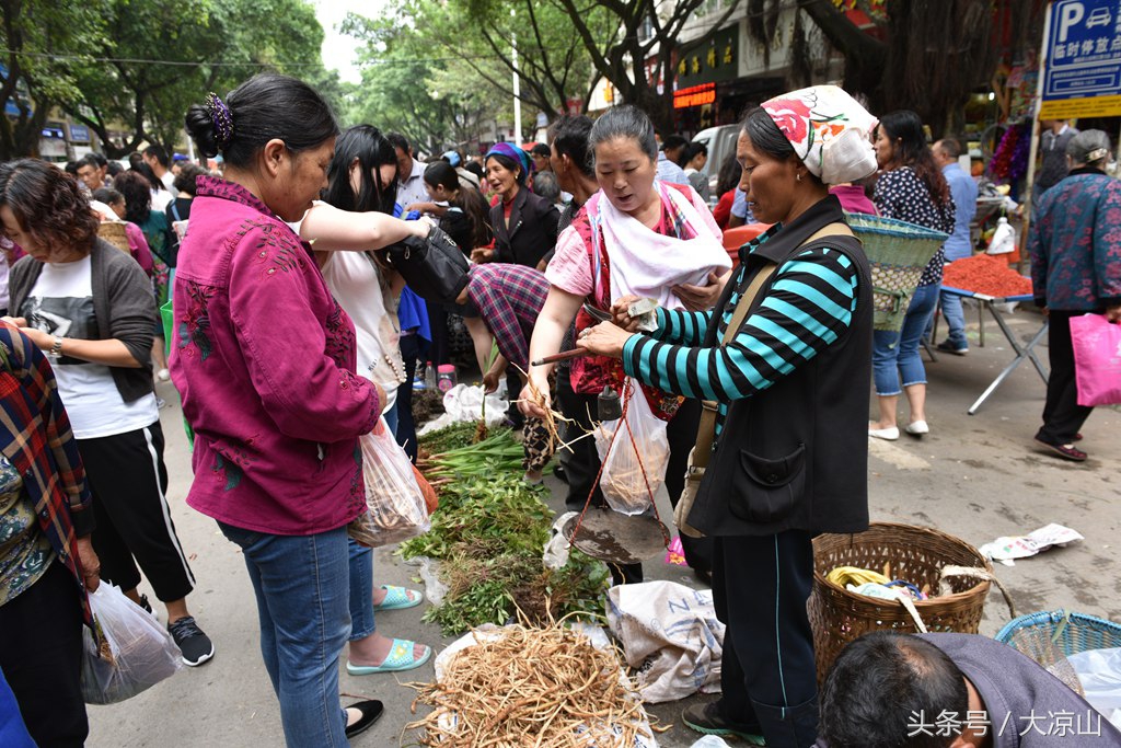 6月18日德昌端午节火爆场面将至，众多中草药先让你辨认，药膳宴等你品尝