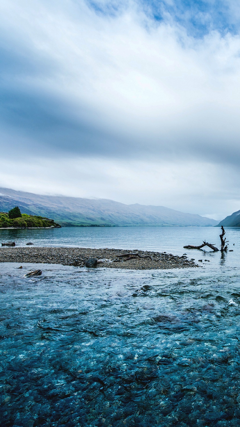 治愈带文字唯美壁纸图片,手机壁纸高清唯美治愈系文字