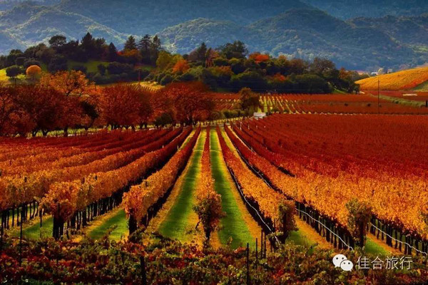 美国加州著名打卡地,美国加州最美景点