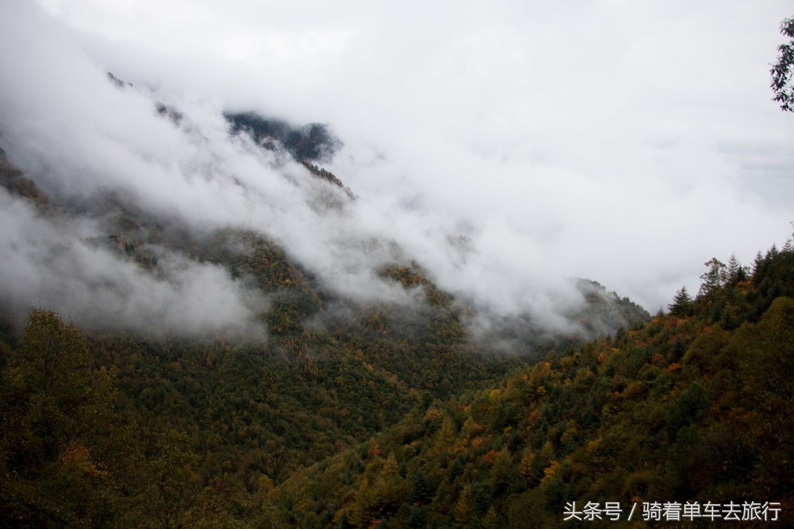 秦岭周至老县城,西安周至老县城旅游攻略