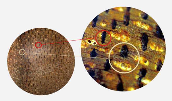 如何辨别真假沉香这些技巧教给你,鉴别沉香真假的四个最基本的方法