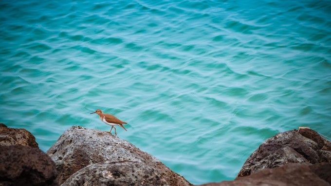 北纬18度三亚你不愿意错过的风景