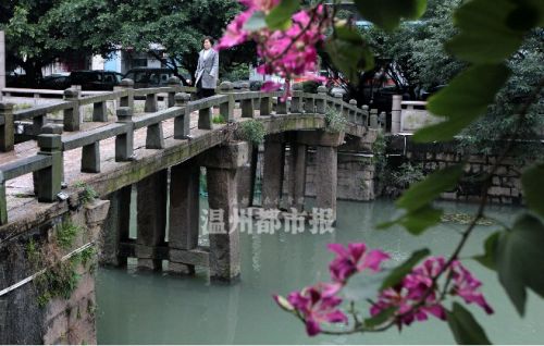 温州的最美古桥,温州古桥景点有哪些