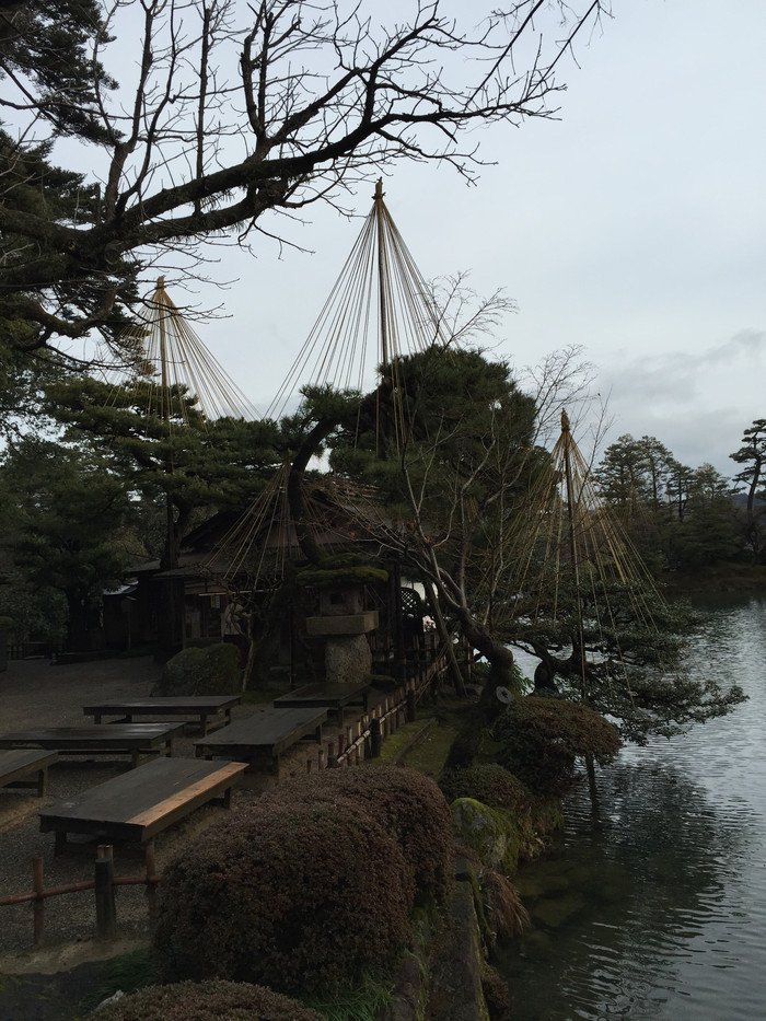 日本的冬日暖阳,日本的冰雪世界