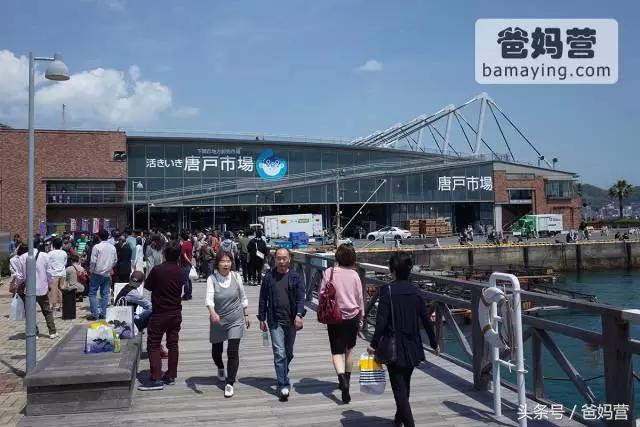 带娃出海邮轮行旅途soeasy,带小孩坐游轮旅行需要带什么