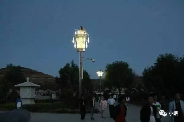 原创|岷县人的端午从一拨子杨柳开始!