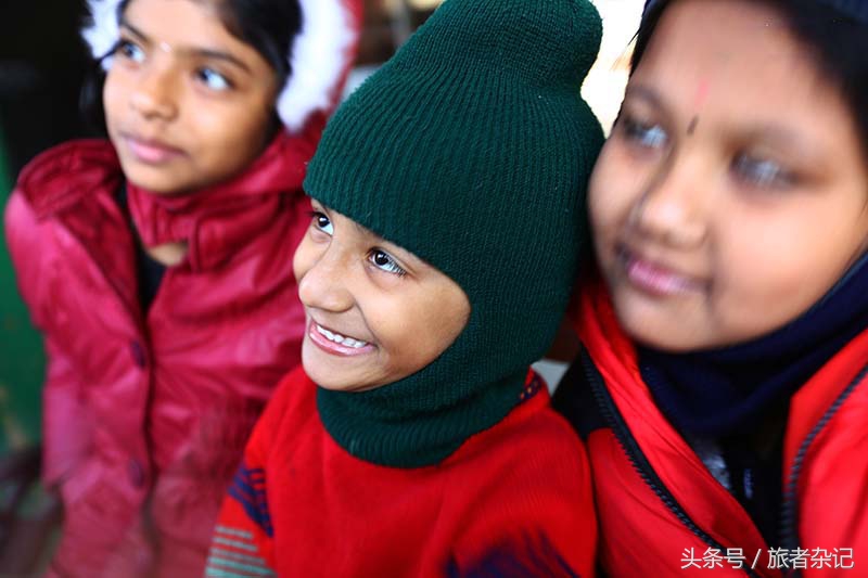 印度大吉岭红茶有几个品牌,印度大吉岭红茶品种