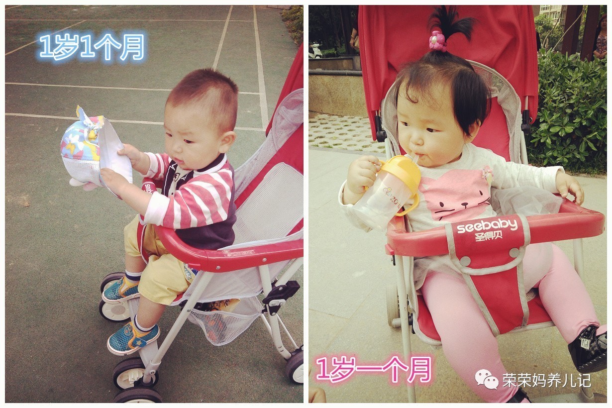 高景观和伞车哪个使用时间长,高景观伞车实用吗