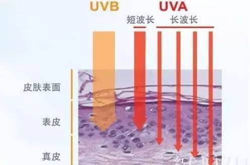 太阳直晒的防晒方法,太阳这么大晒黑不可怕