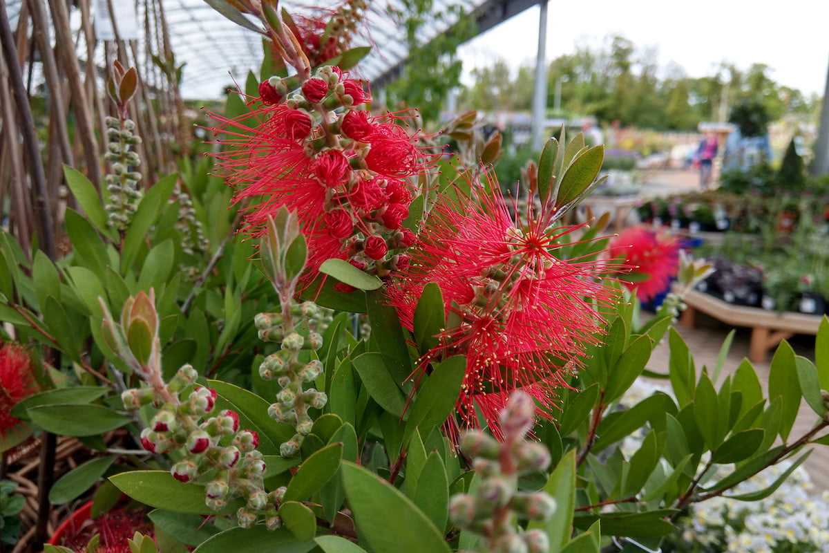 日版htcu11详细参数,htcu11plus深度评测