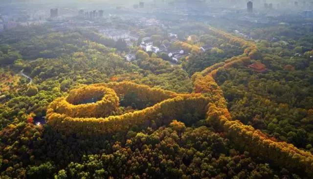 南京的夏天是个美丽的地方,南京的夏天依旧很美