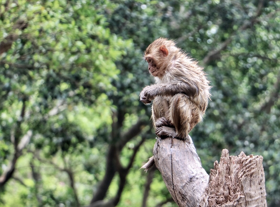一月广州长隆野生动物园游玩攻略,长隆海洋王国不可错过