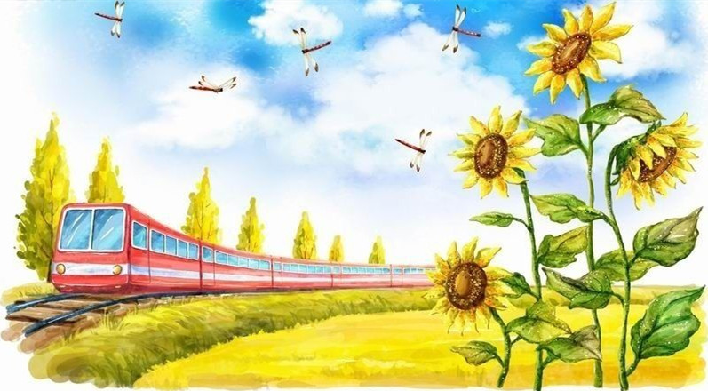 保护好你的旅行箱陪你走过不同的风景