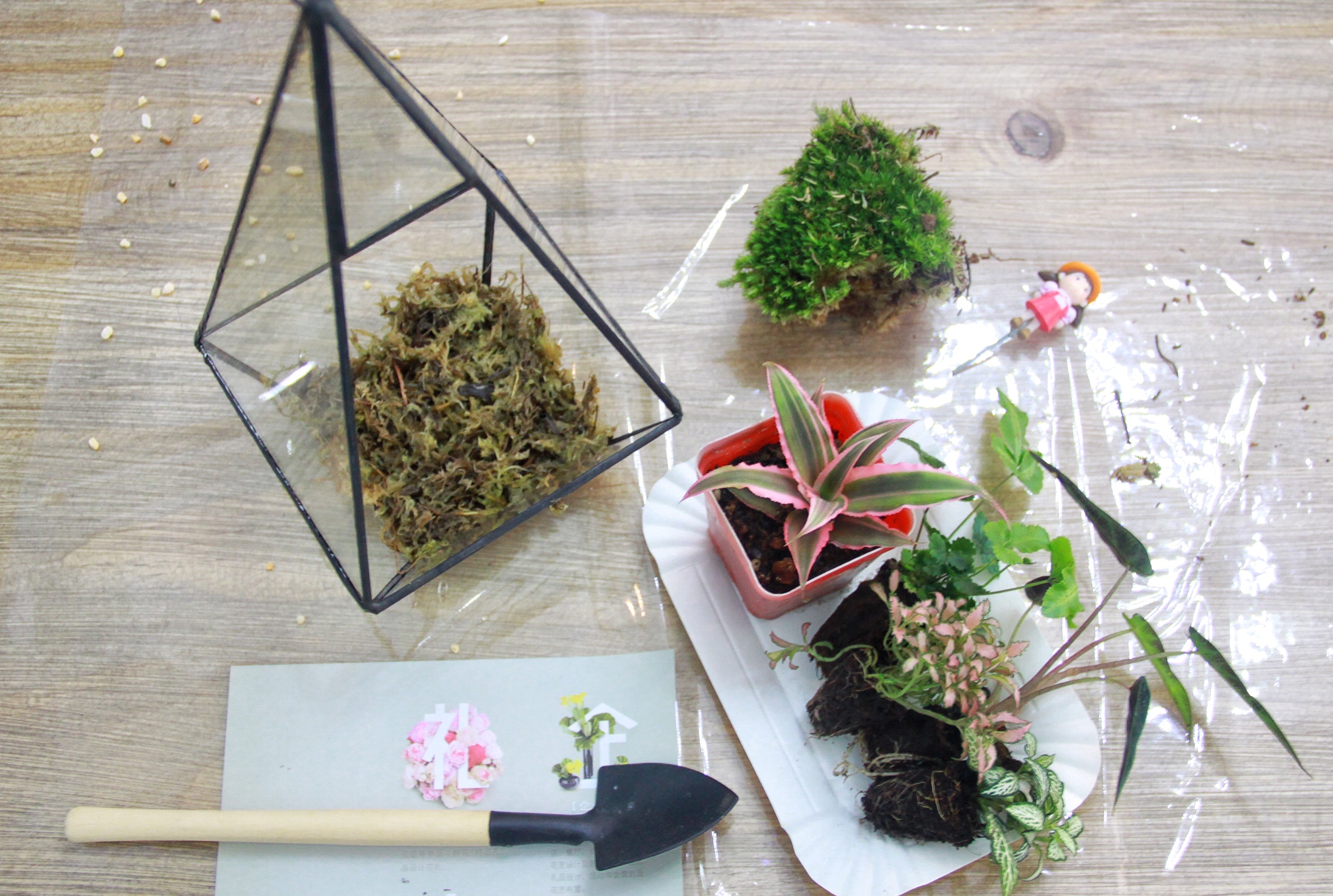 花店插花教程零基础,花店插花入门教程