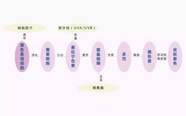 姹備綘涓嶈鍐嶉粦鍖栦簡灏忚鍏ㄩ泦,姹備綘鍒啀榛戝寲浜唗xt